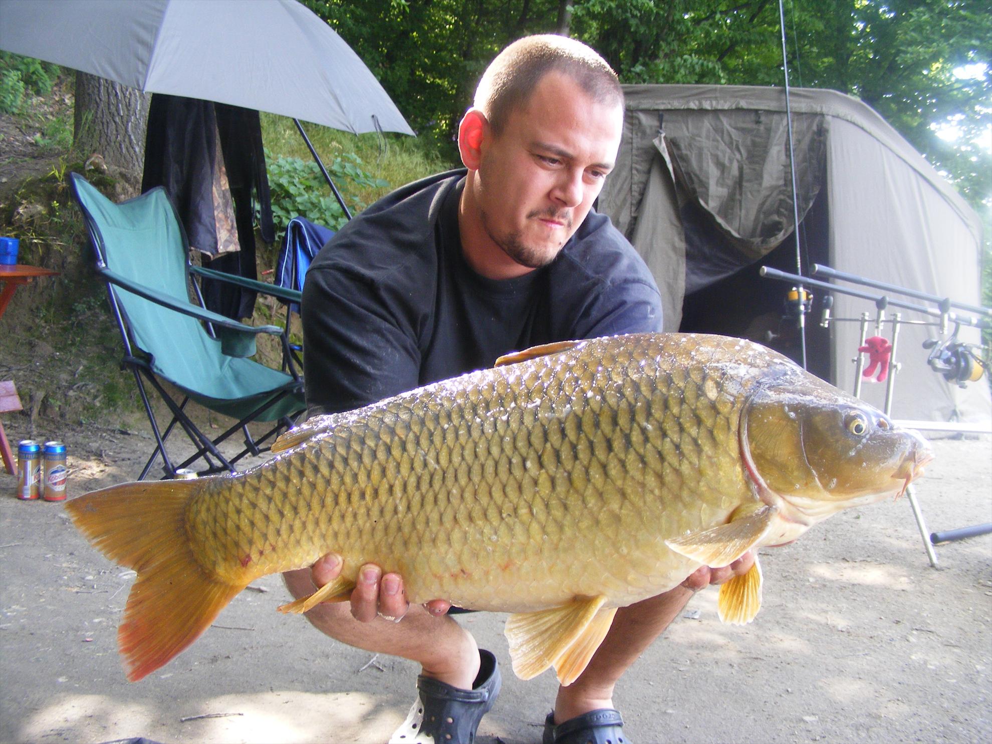 Harsanyi 2013 - dscf6235.JPG